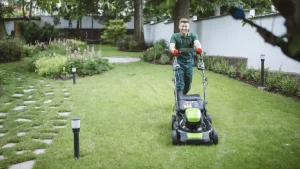 Lawn Mowing Services with Kiwi Clean Home