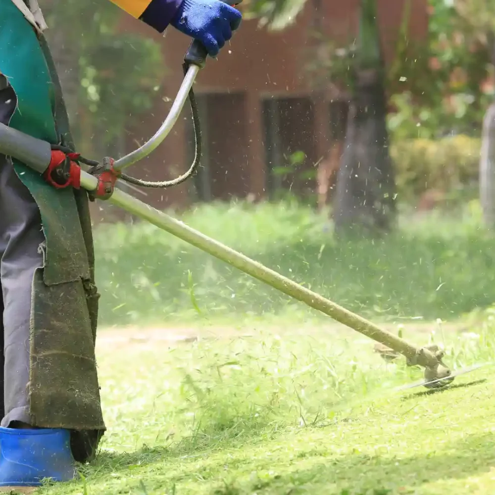 Fresh lawn care services with Kiwi Clean Home