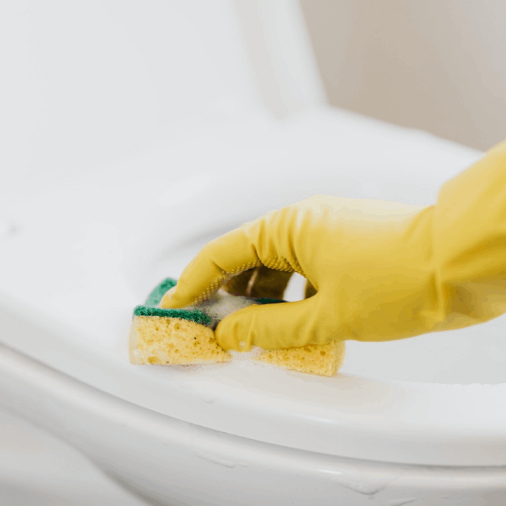 A cleaning team wiping a toilet with Kiwi Clean Home