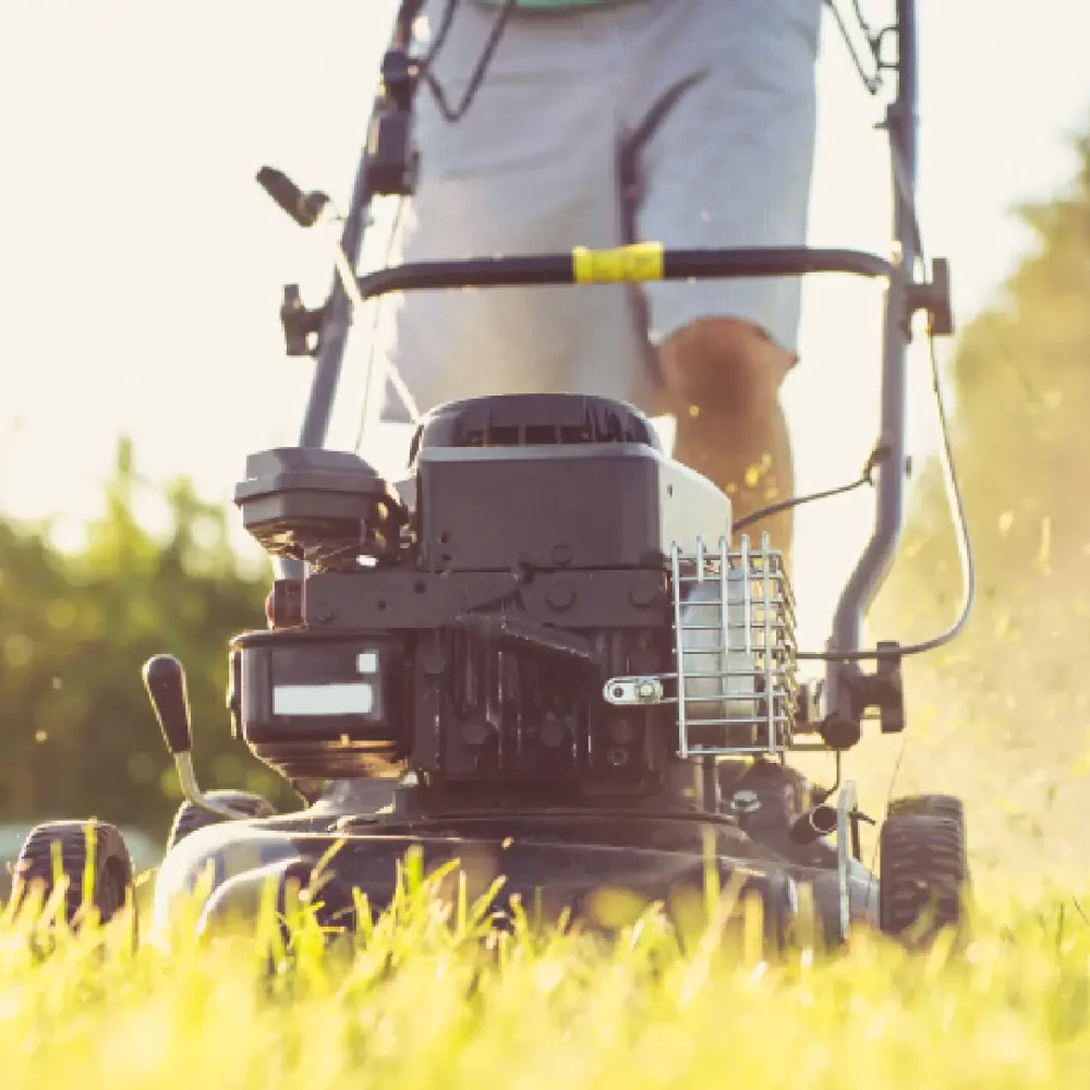 Lawn mowing mt wellington online
