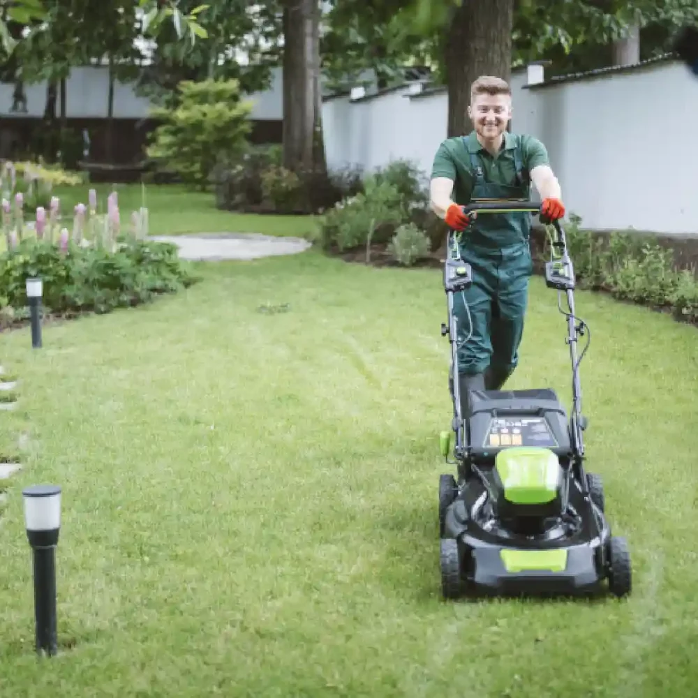 Lawn Mowing Services with Kiwi Clean Home